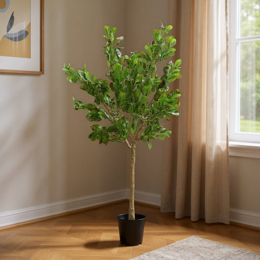 Aavana Greens (135 CM) Artificial Plant for Outdoor & Indoor