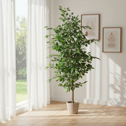 Aavana Greens 6.3 Feet (189 CM)  Evergreen Leaf Artificial Ficus Plant Pack of 1 without Pot