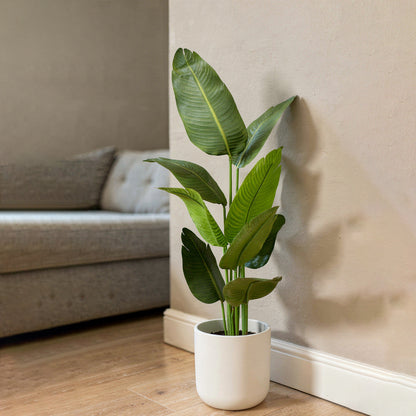 Aavana Greens (150 CM) Tropical Bird of Paradise Artificial Plant with Black Pot