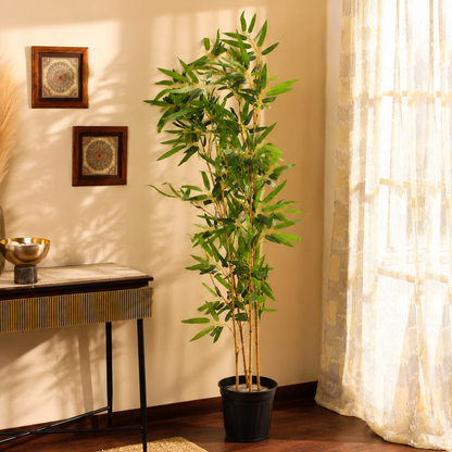 Aavana Greens (155 CM) Home Bloom Decoration Artificial Bamboo Plants for Indoor & Outdoor with Pot