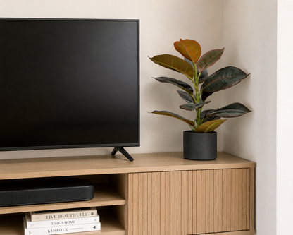 Aavana Greens (47.5 CM) Artificial Ficus Rubber Plant with Pot Pack of 1