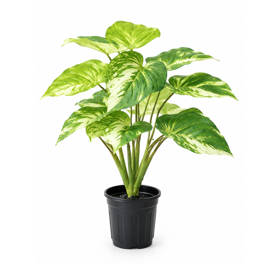 Aavana Greens (70 CM) Artificial Plant for Outdoor & Indoor