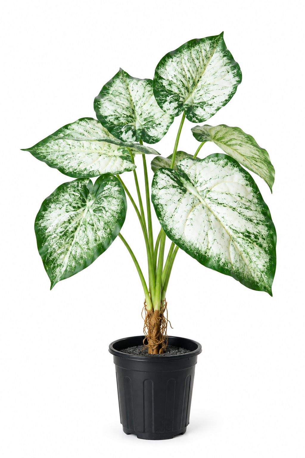 Aavana Greens (70 CM) Artificial Plant for Outdoor & Indoor