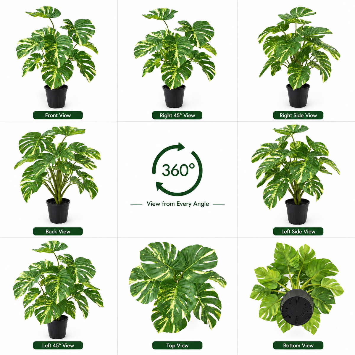 Aavana Greens (70 CM) Artificial Plant for Outdoor & Indoor