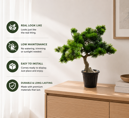 Aavana Greens (32 CM) Artificial Bonsai Plant for Indoor