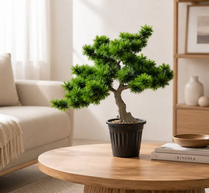 Aavana Greens (32 CM) Artificial Bonsai Plant for Indoor