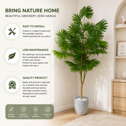 Aavana Greens 6.5 Feet (195 CM) Artificial Fan Palm Tree Without Pot For Home Decor, Pack of 1