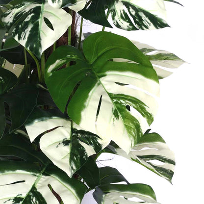 Aavana Greens (75 CM) Artificial Plant for Outdoor & Indoor
