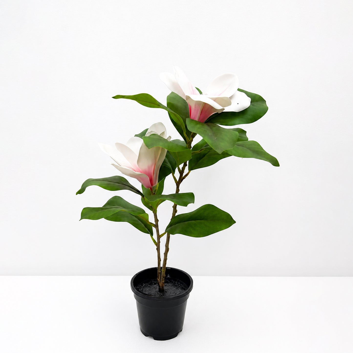 Aavana Greens (32.5 CM) Artificial Plant for Outdoor & Indoor
