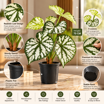 Aavana Greens (55 CM) Artificial Plant for Outdoor & Indoor