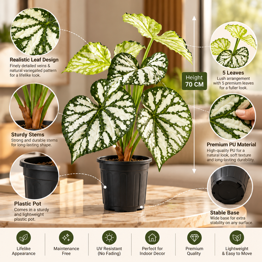 Aavana Greens (55 CM) Artificial Plant for Outdoor & Indoor