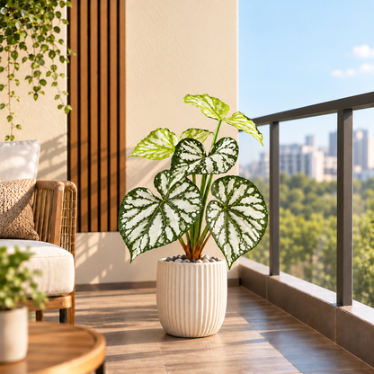 Aavana Greens (55 CM) Artificial Plant for Outdoor & Indoor