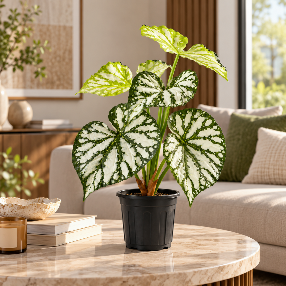 Aavana Greens (55 CM) Artificial Plant for Outdoor & Indoor