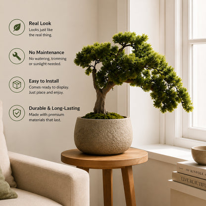 Aavana Greens (60 CM)  Artificial windswept Japanese pine bonsai Plant