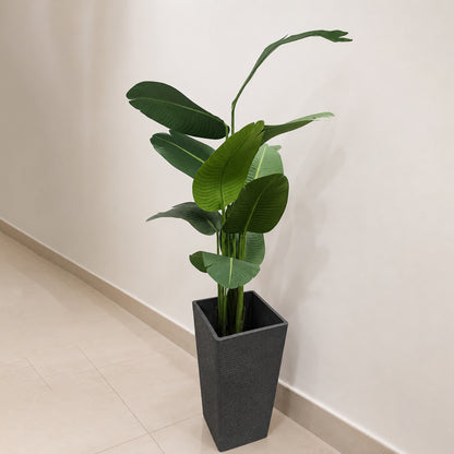 Aavana Greens (150 CM) Tropical Bird of Paradise Artificial Plant with Black Pot