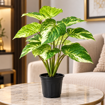 Aavana Greens (70 CM) Artificial Plant for Outdoor & Indoor