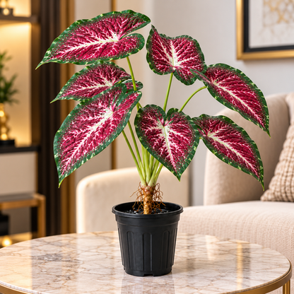 Aavana Greens (70 CM) Artificial Plant for Outdoor & Indoor