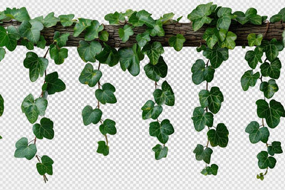 Artifcial Vertical Garden 2