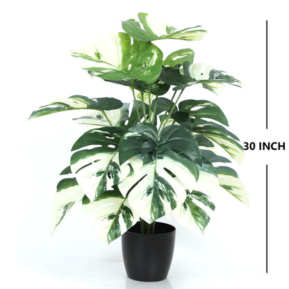 Aavana Greens (75 CM) Artificial Plant for Outdoor & Indoor