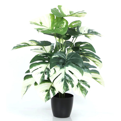 Aavana Greens (75 CM) Artificial Plant for Outdoor & Indoor