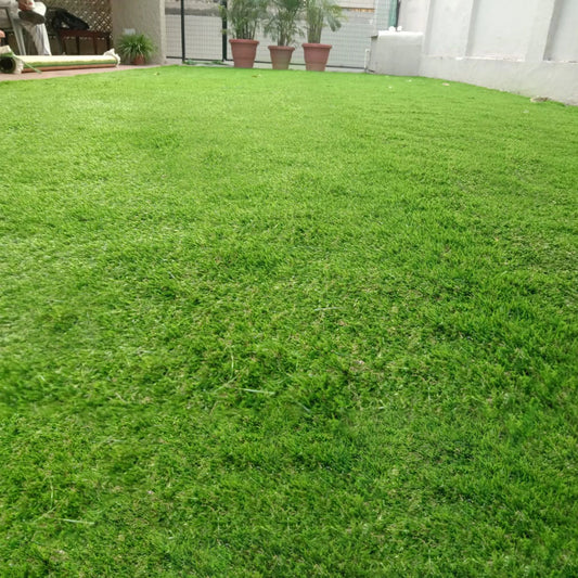 35mm German Mint Double Backing Artificial Grass 6.5 Feet Width PE & PU Material Grass For Indoor And Outdoor Use