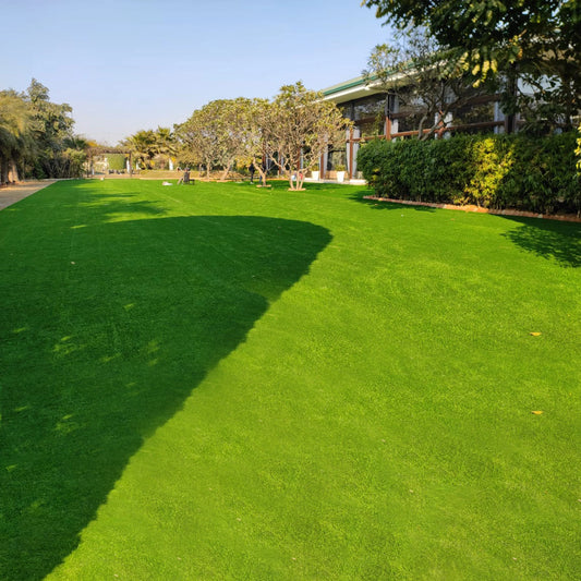 62mm German Mint Double Backing Artificial Grass 6.5 Feet Width PE & PU Material Grass For Indoor And Outdoor Use