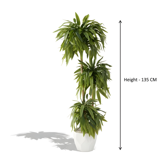 Aavana Greens 4.5 Feet (135 CM) 3 Tier Artificial Bamboo Plant Sticks Without Pot | Tall Decorative Indoor Plant for Living Room, Office & Home Decor | Realistic Green Leaves | No Maintenance Faux Plant (Pot Not Included)