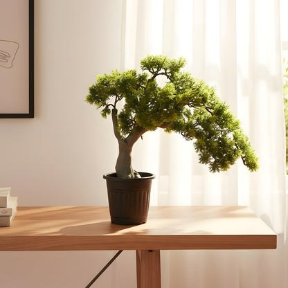 Aavana Greens (60 CM)  Artificial windswept Japanese pine bonsai Plant