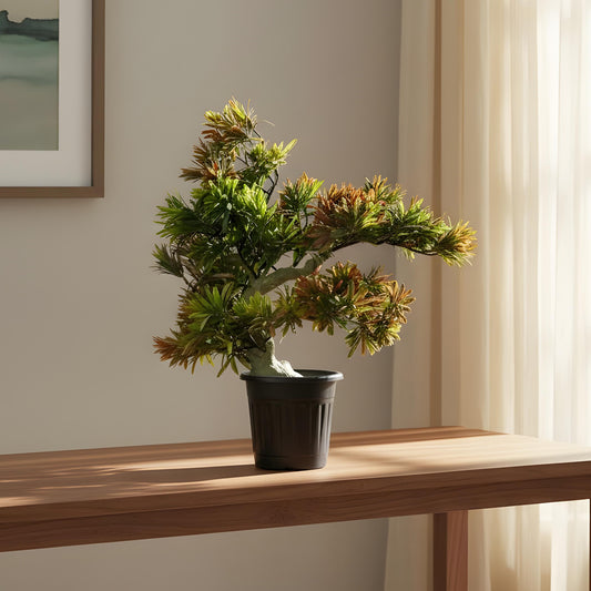 Aavana Greens (32 CM) Artificial Bonsai Plant for Indoor