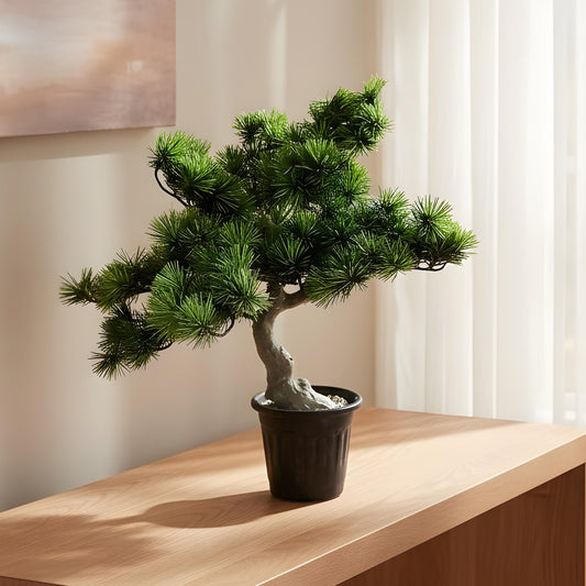 Aavana Greens (32 CM) Artificial Bonsai Plant for Indoor