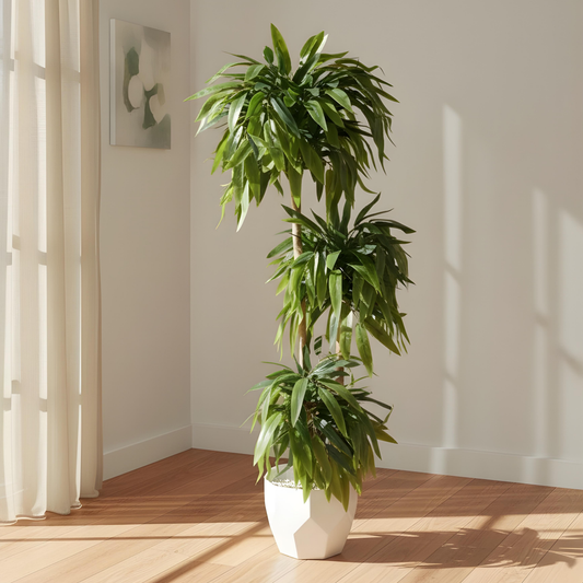 Aavana Greens 4.5 Feet (135 CM) 3 Tier Artificial Bamboo Plant Sticks Without Pot | Tall Decorative Indoor Plant for Living Room, Office & Home Decor | Realistic Green Leaves | No Maintenance Faux Plant (Pot Not Included)