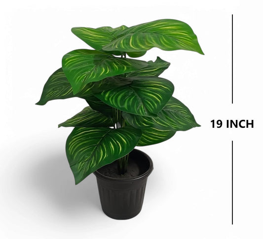 Aavana Greens (42.5 CM) Artificial Plant for Outdoor & Indoor