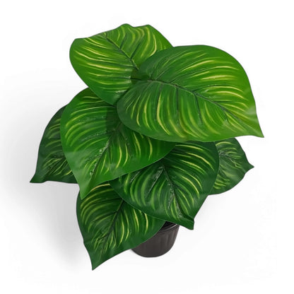 Aavana Greens (42.5 CM) Artificial Plant for Outdoor & Indoor