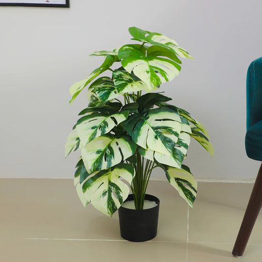 Aavana Greens (75 CM) Artificial Plant for Outdoor & Indoor