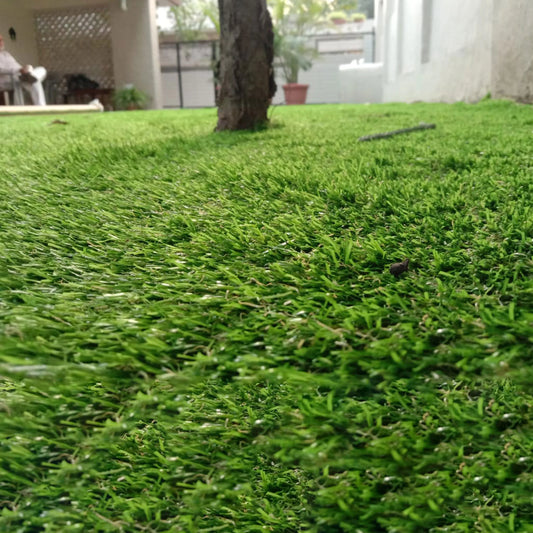 52mm German Mint Double Backing Artificial Grass 6.5 Feet Width PE & PU Material Grass For Indoor And Outdoor Use