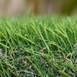 Artificial grass in Delhi